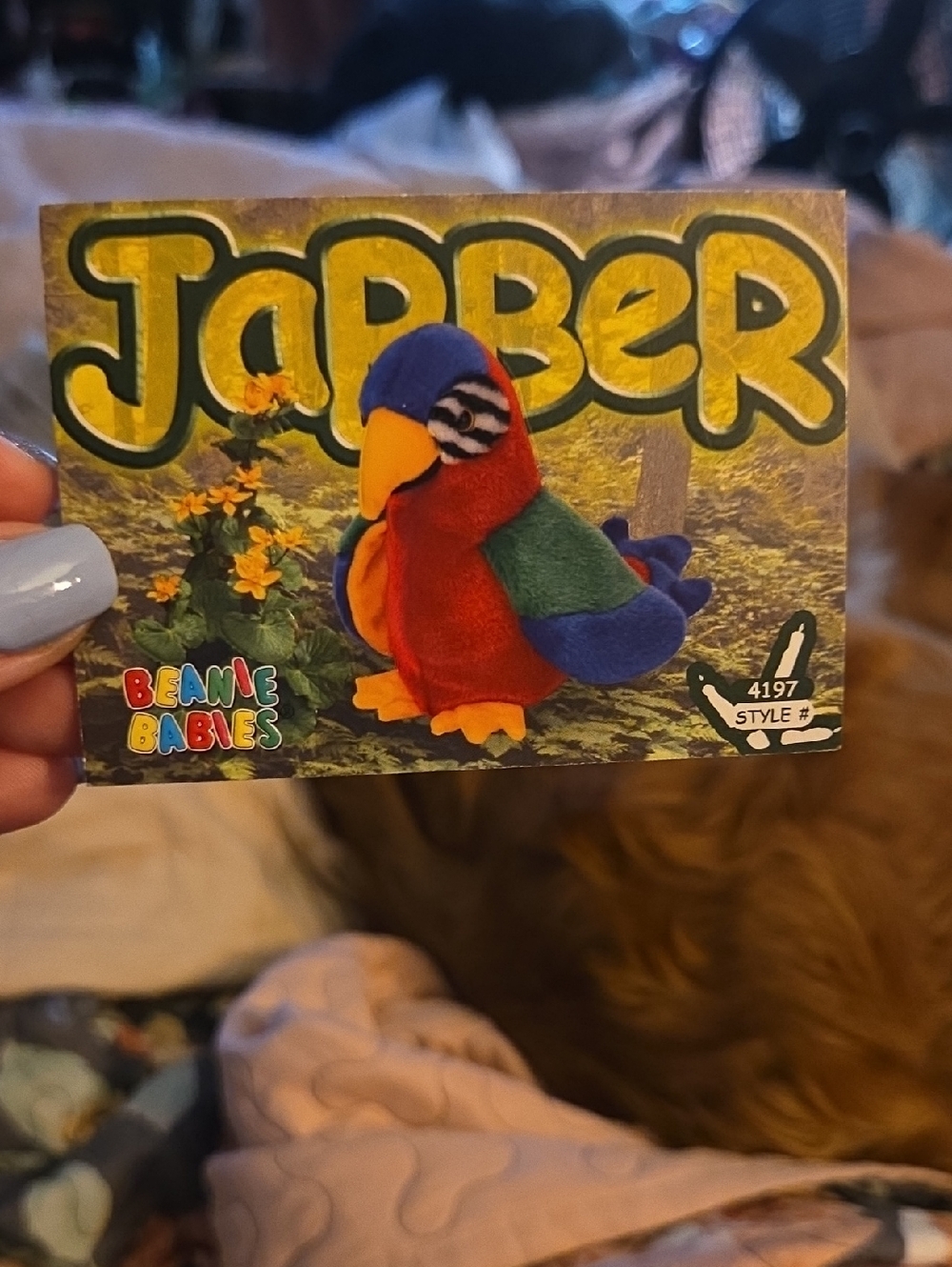 Ty Jabber Beanie Babie Collectible Trading Card